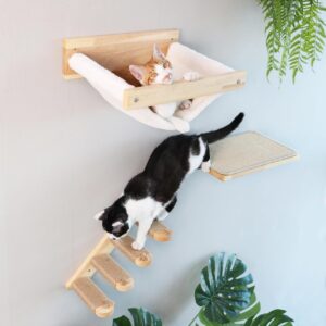 Cat Wall Furniture, 3 Pack Cat Wall Shelves Set, Solid Rubber Wood Cat Shelf for Sleeping, Playing, Climbing and Lounging